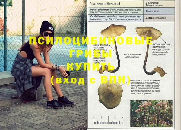 прущая мука Алзамай