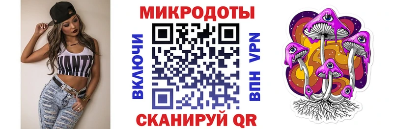 Псилоцибиновые грибы Psilocybe  Купить где  Искитим 
