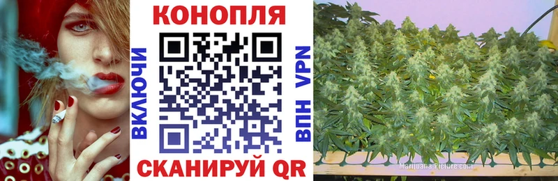 Бошки Шишки тримм  Купить где  Искитим 